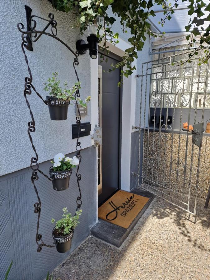 Ferienhaus Steigrhein 필젠 외부 사진
